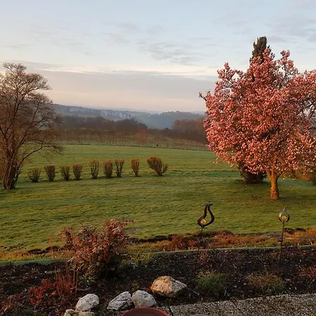 Apartament Fewo Panoramablick *